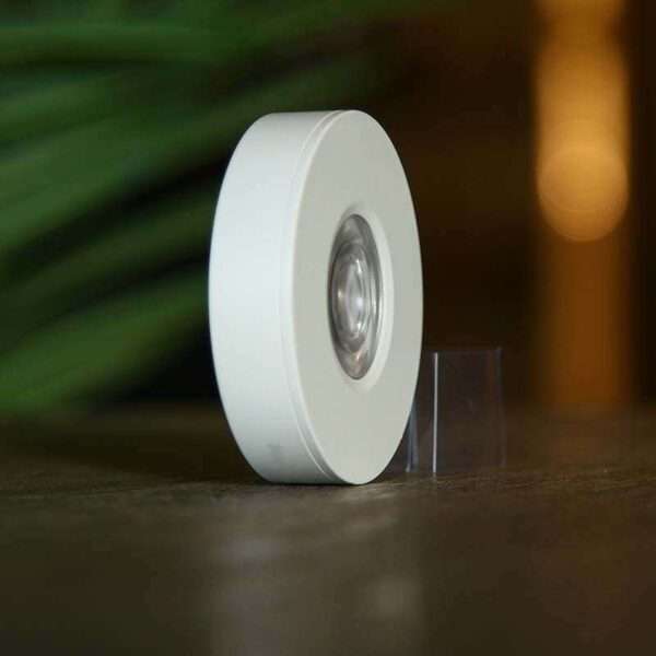 Ceiling Light aka Biscuit Light - Image 2