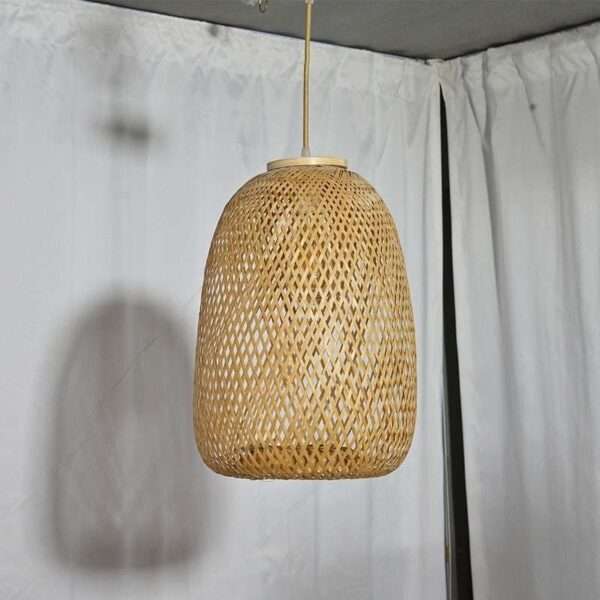 Hanging Light BLH-HL-276