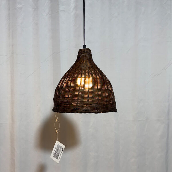 Hanging Light BLH-CZ308